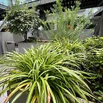 Palm Grove House Con Terrazzo E Box Privato 公寓