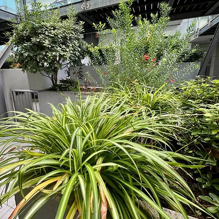 Palm Grove House Con Terrazzo E Box Privato アパート